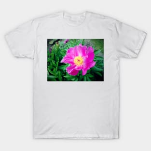 peony T-Shirt